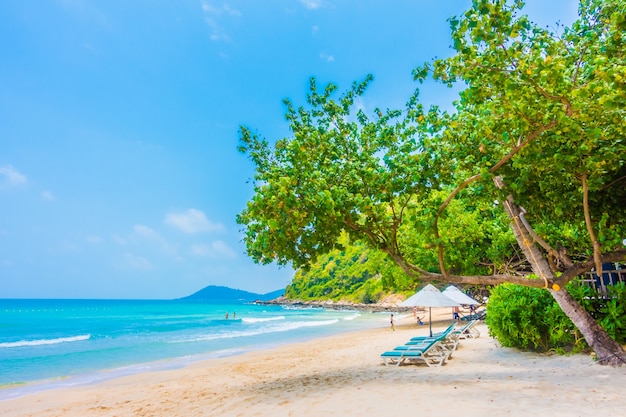 Kostenloses Foto meer und strand