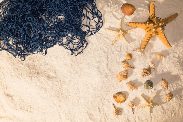 Meeresmuscheln und Netz auf Sand