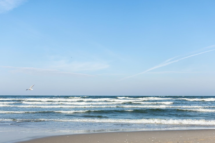 Kostenlose Foto meereswellen strand meereshintergrund hintergrund mit meeresrand