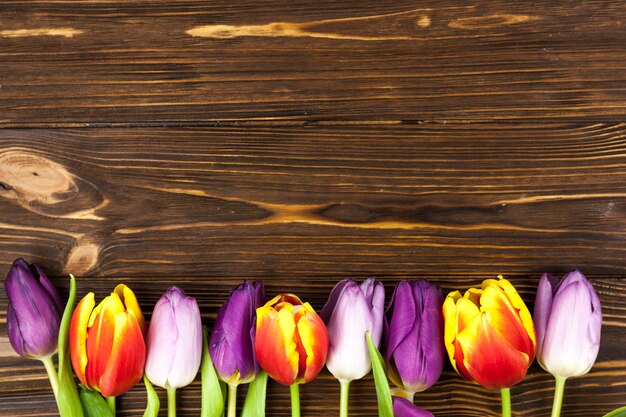 Mehrfarbige Tulpe vereinbarte in der Reihe über Holztisch