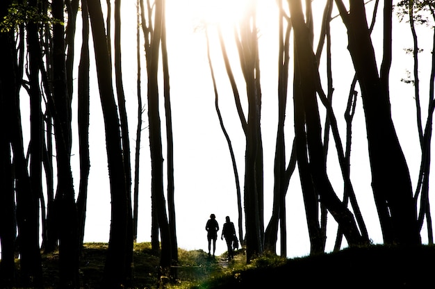 Kostenloses Foto menschen im dunklen geheimnisvollen wald.