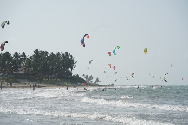 Menschen Kitesurfen an einem Strand in der Nähe der Bäume in der Dominikanischen Republik