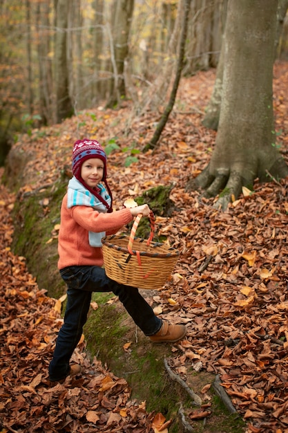 Kostenloses Foto menschen sammeln nahrung aus dem wald