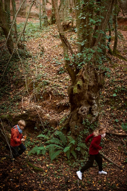 Kostenloses Foto menschen sammeln nahrung aus dem wald