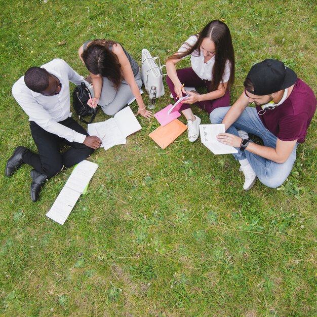 Menschen sitzen auf Gras studieren