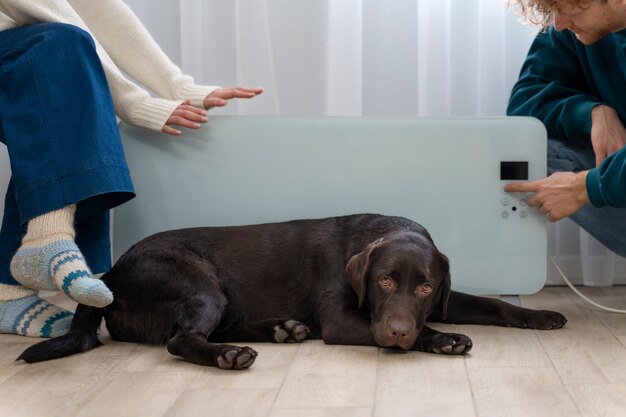 Menschen und Hunde sitzen zu Hause in der Nähe der Heizung