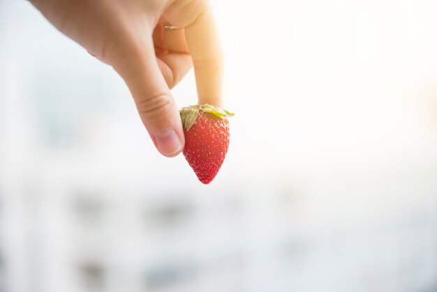 Menschliche Hand, die rote ganze organische Erdbeere über unscharfem Hintergrund hält