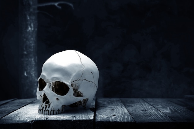Menschlicher Schädel auf Holztisch mit dunklem Hintergrund