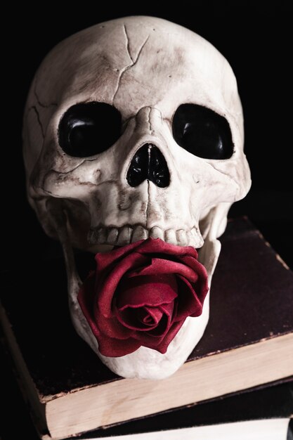 Menschlicher Schädel mit Rose auf Büchern