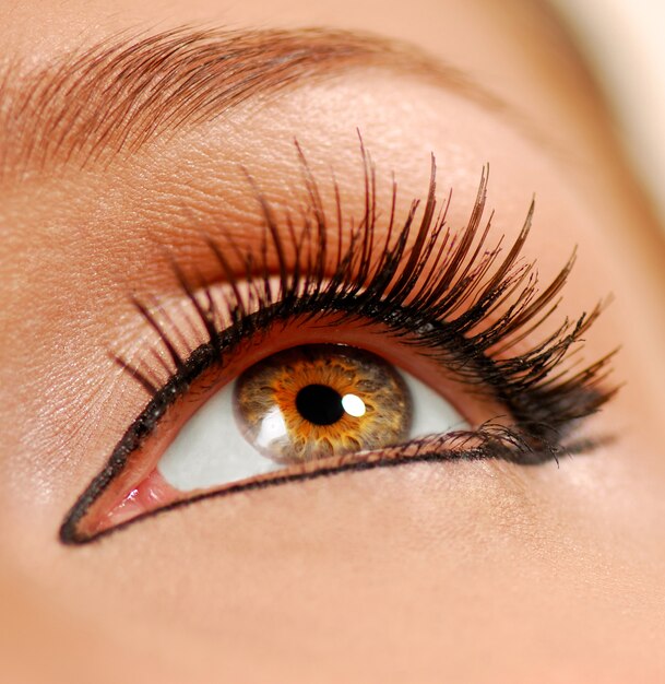 Menschliches weibliches Auge. Falsche Wimpern. Liner.