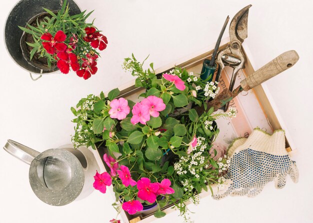 Metallischer Pitcher nahe Blumen und Gartenausrüstung im Kasten