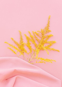 Mimosenblumen auf rosa stoffhintergrund. ästhetische minimale tapete. herbst-sommer-blumenpflanzenkomposition