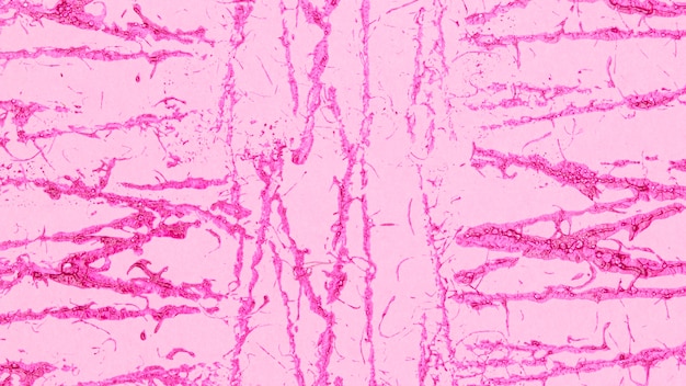 Minimaler monochromatischer rosa Hintergrund