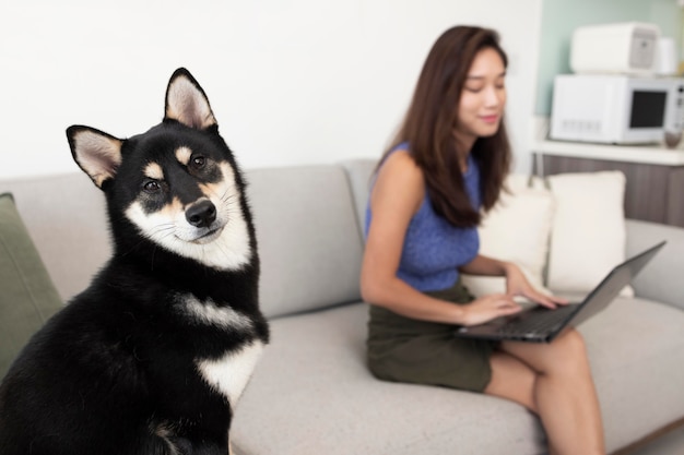 Kostenloses Foto mittelhohe frau mit hund auf der couch