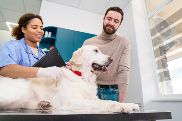 Mittlere Aufnahme glücklicher Menschen und süßer Hund