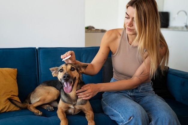 Kostenloses Foto mittlere schussfrau, die hund zu hause putzt