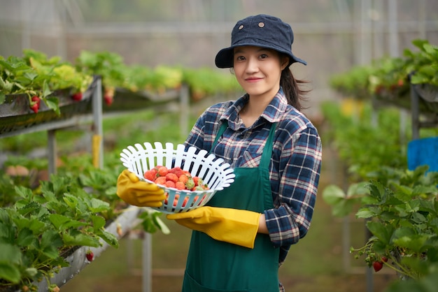 Mittlerer Schuss der jungen Asiatin im Landwirtgesamtholding ein Korb der reifen Erdbeeren