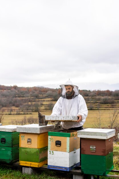 Mittlerer Schuss Mann, der mit Bienen arbeitet