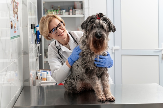 Mittlerer Schuss Smiley-Arzt, der Hund überprüft