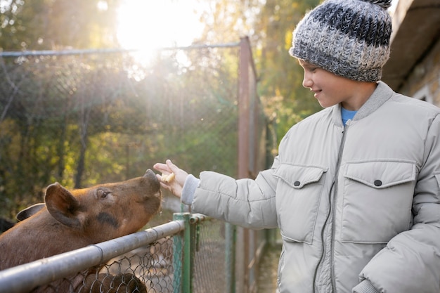 Mittleres geschossenes Kind, das Schwein füttert