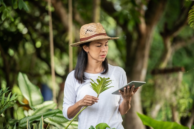 Moderne Technik im Gartengeschäft. junge Frau mit digitalem Tablet, die in einem Gartencenter arbeitet. Umweltschützer mit digitalem Tablet. Frau, die draußen in der Sommernatur im Garten arbeitet.
