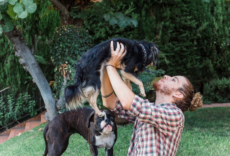 Kostenlose Foto moderner mann, der mit hunden im garten spielt