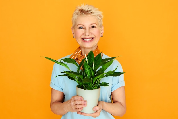 Modische gut aussehende Dame mit kurzem gefärbtem Haar, das gegen gelben Hintergrund aufstellt, der Topfblume hält. Reife Frau, die Zimmerpflanze wächst und Ruhestand genießt. Menschen-, Botanik- und Häuslichkeitskonzept