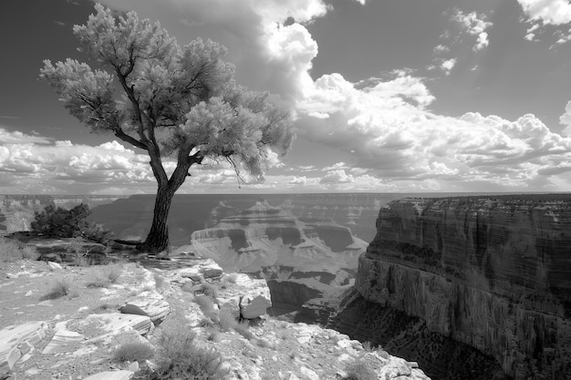 Kostenloses Foto monochrom sicht auf den grand canyon für den weltkulturerbe-tag
