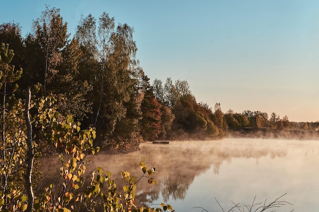 Morgenruhiger See mit Nebel und Reflexion des Waldes am hellen Herbsttag.