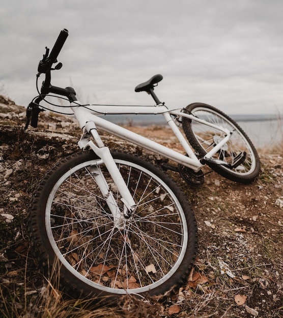 Mountainbike auf Gras