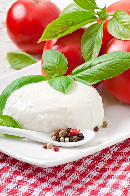 Mozzarella, Tomaten und frische Basilikumblätter