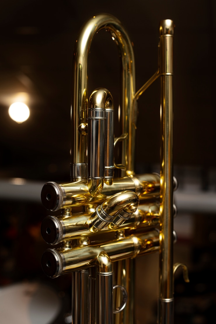 Kostenlose Foto musikinstrument im laden