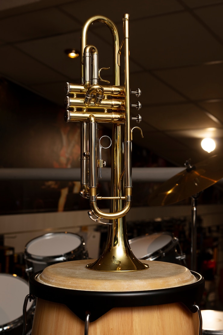 Kostenlose Foto musikinstrument im laden