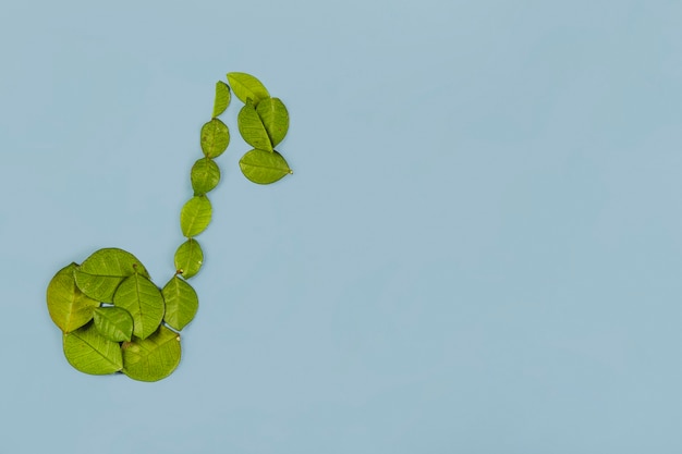 Musiknote gemacht mit grünen Blättern auf blauem Hintergrund