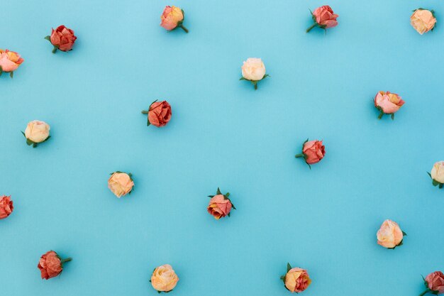 Muster von Rosen auf blauem Hintergrund