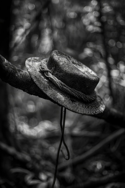 Kostenloses Foto mysteriöser charakter im wald