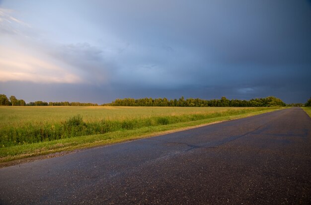 Nach dem Regen