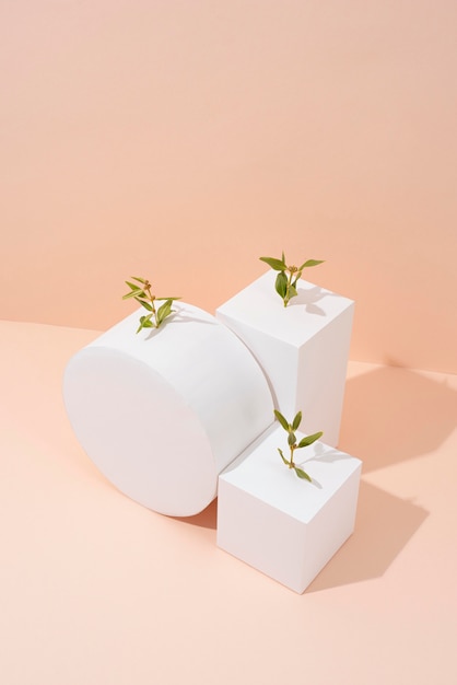 Kostenloses Foto nachhaltigkeitskonzept mit leeren geometrischen formen und wachsender pflanze