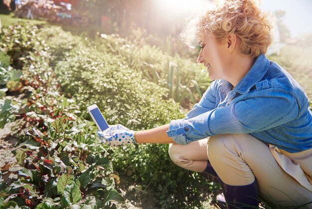 Nahaufnahme auf Frau, die sich um ihren Garten kümmert