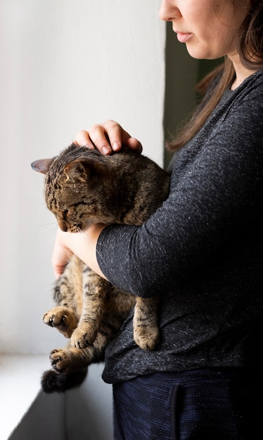 Nahaufnahme Besitzer streicheln Katze