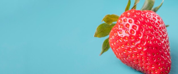 Nahaufnahme Bio-Erdbeere mit Kopienraum