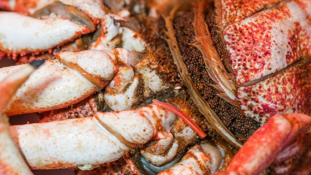 Nahaufnahme der frischen Krabbe im Markt