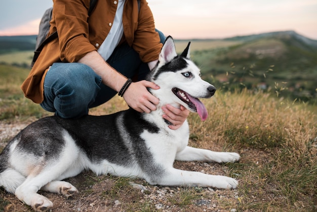 Nahaufnahme der Hände, die Hund halten