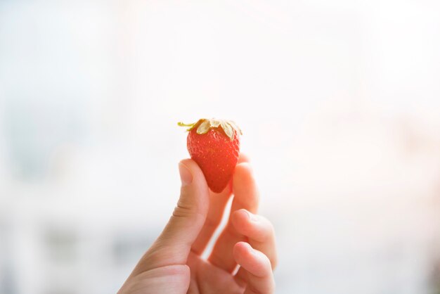 Nahaufnahme der Hand der Frau Erdbeere in der Hand halten