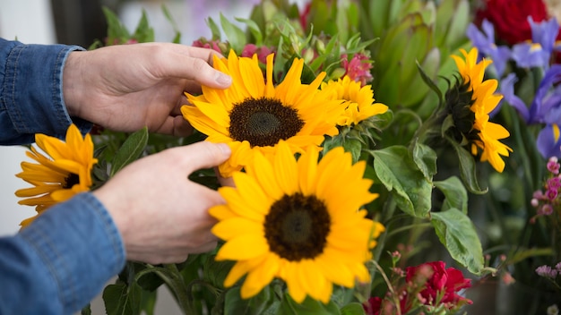 Nahaufnahme der Hand des Floristen gelbe Sonnenblume im Blumenstrauß halten