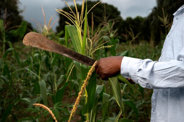 Nahaufnahme der Hand, die landwirtschaftliches Werkzeug hält