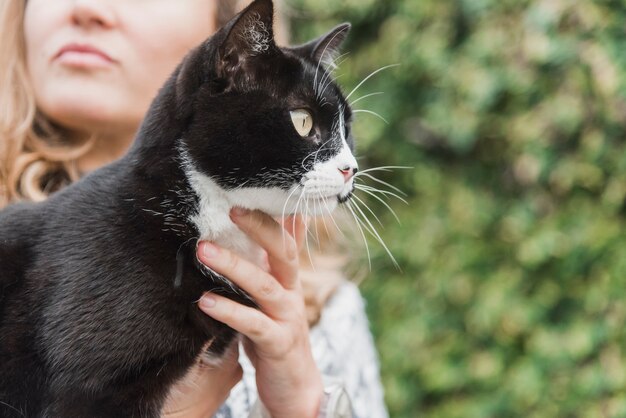 Nahaufnahme der Hand einer Frau, die schwarze Katze hält