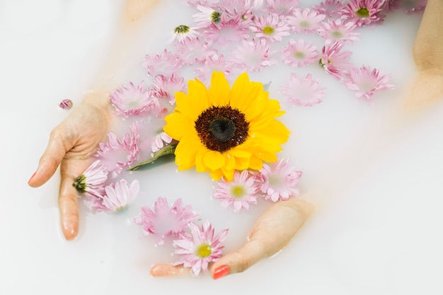 Nahaufnahme der Hand einer Frau mit den gelben und rosa Blumen, die auf Wasser schwimmen