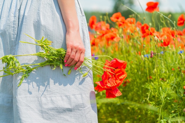 Kostenloses Foto nahaufnahme der jungen schönen frau hält einen mohnblumenstrauß in ihren händen in einem mohnfeld am sonnigen sommertag