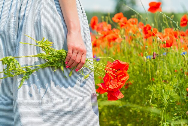 Nahaufnahme der jungen schönen Frau hält einen Mohnblumenstrauß in ihren Händen in einem Mohnfeld am sonnigen Sommertag